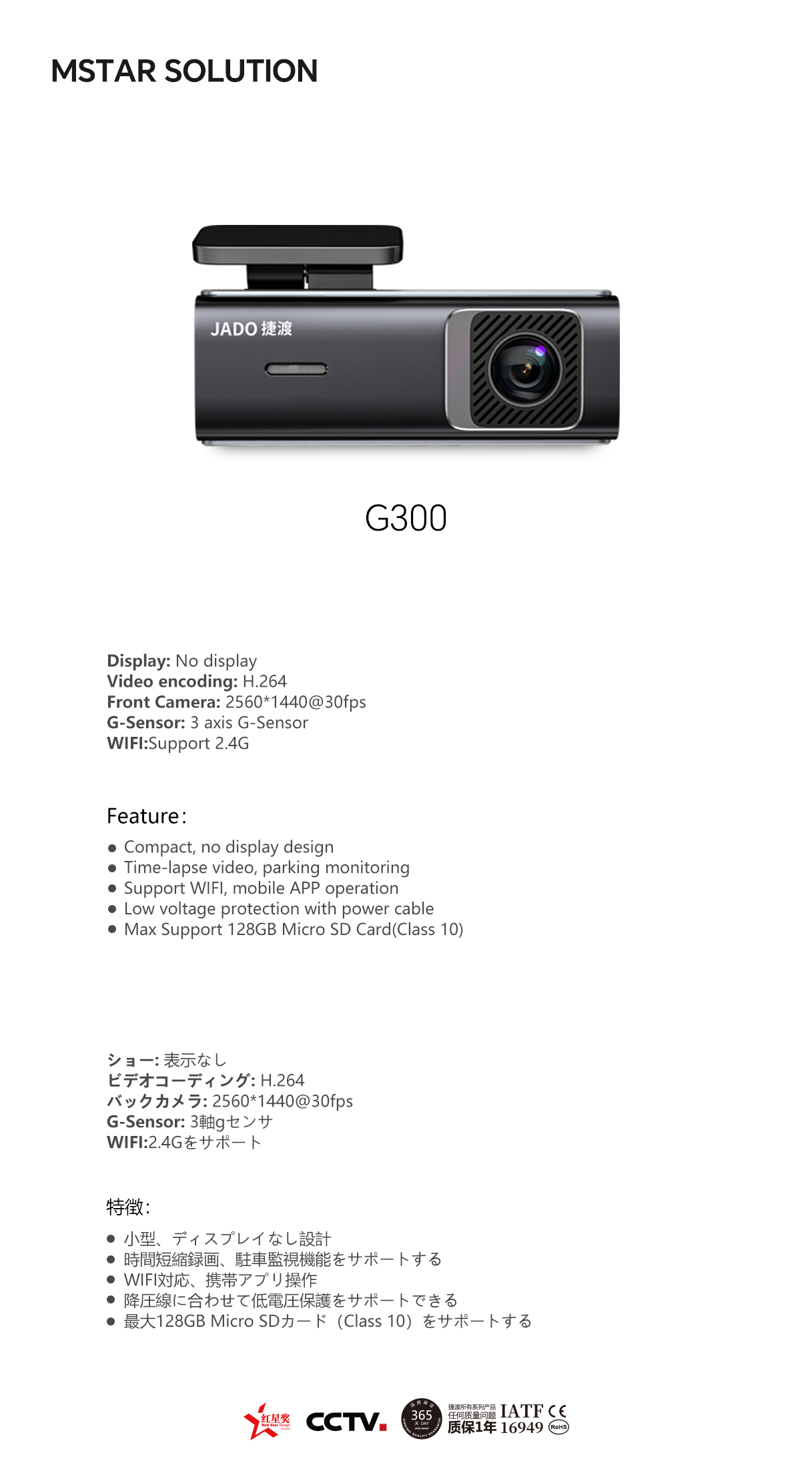 17-G300.jpg